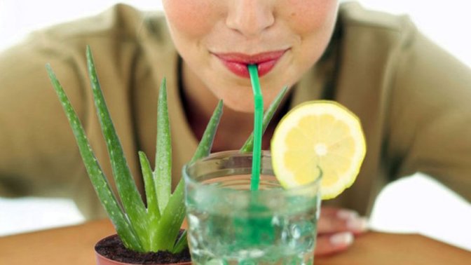 Čistá šťáva z aloe vera patří mezi detoxikační prostředky.