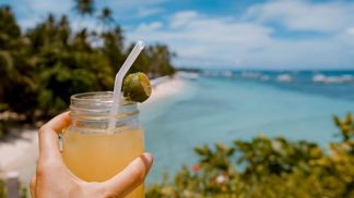 Na zdraví všem zlodějům!