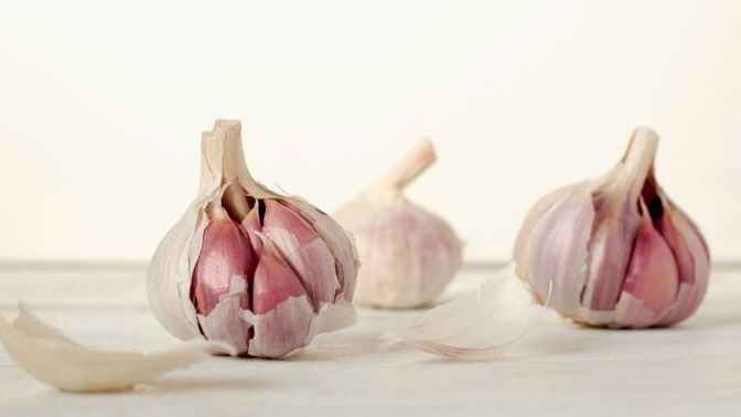 Česnek je přírodní antibiotikum, které je mnohdy lepší než kterýkoliv chemický lék.