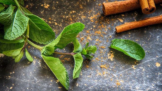 Máta se uplatní jak v kuchyni, tak v lékařství a prožít s ní můžete i alkoholovou noc.