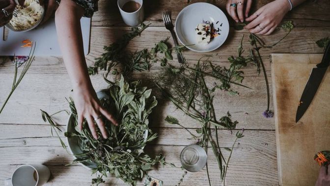 Bylinky si můžete i usušit.