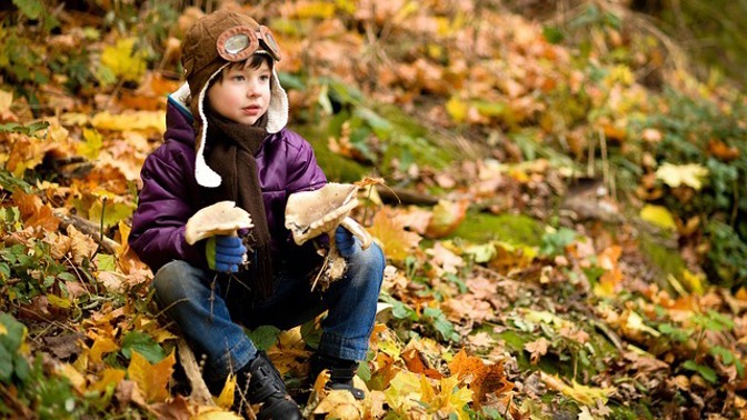 Na podzim houbařská sezona vrcholí.