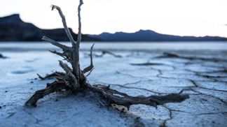 Katastrofu je stále možné zažehnat.