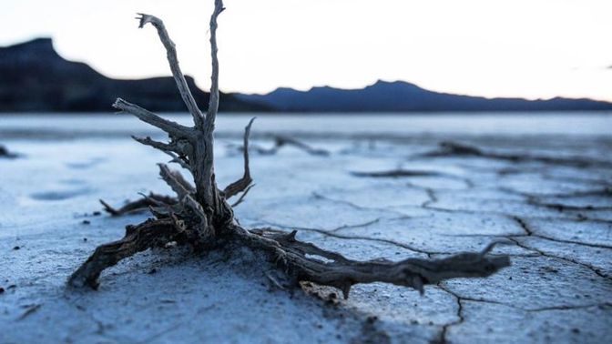 Katastrofu je stále možné zažehnat.