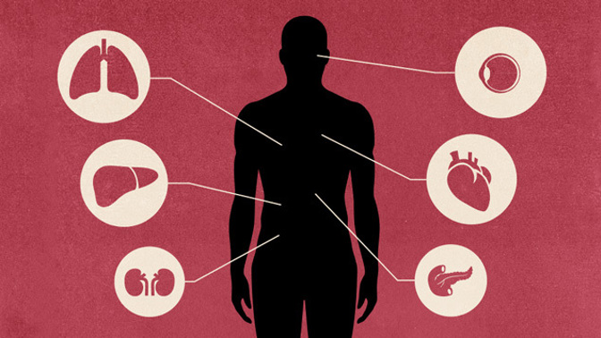 Detoxikujte své orgány a udělejte to nejlepší pro své zdraví