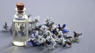 Které vůně váš byt zahalí do příjemného odéru?