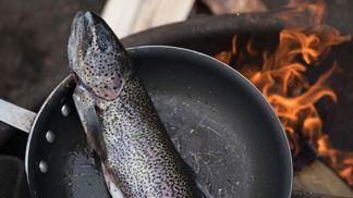 Termín “esenciální” znamená, že je nezbytné, abychom danou živinu přijímali konzumací jídla. Naše tělo není totiž schopno si tyto látky vyrobit samo a je odkázáno na jejich příjem v potravě.