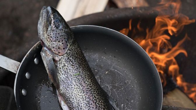 Termín “esenciální” znamená, že je nezbytné, abychom danou živinu přijímali konzumací jídla. Naše tělo není totiž schopno si tyto látky vyrobit samo a je odkázáno na jejich příjem v potravě.