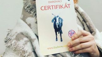 Kdo se může pochlubit tím, že pod stromeček dostal kozu?