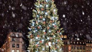 Štrasburk je velmi fotogenický a barevný