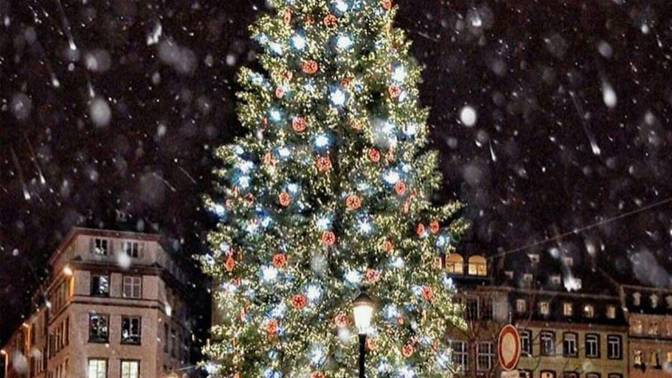 Štrasburk je velmi fotogenický a barevný