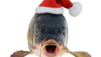 Šupiny z kapra patří pod talíř