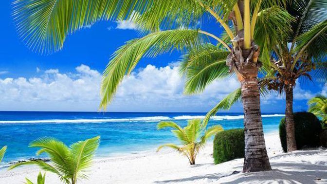 Takhle pláž vypadá po pětatřiceti letech od natáčení.