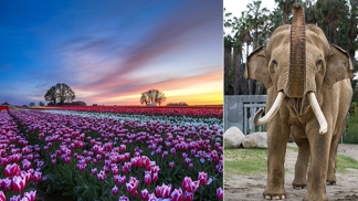 Naučte se fotit zvířata i krajinu po setmění!