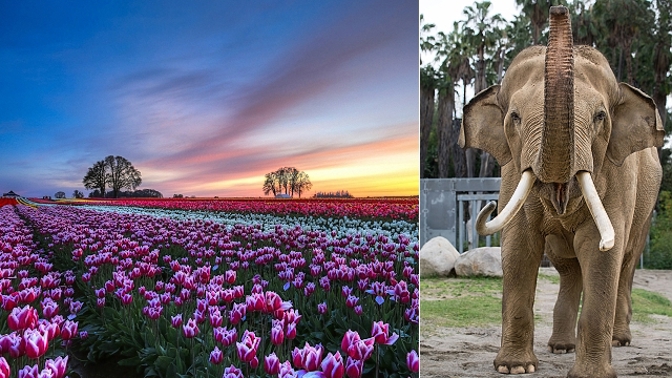 Naučte se fotit zvířata i krajinu po setmění!