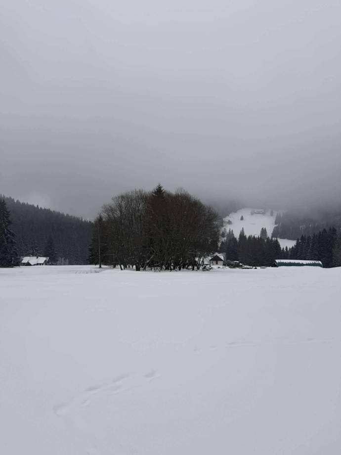 Pec pod Sněžkou nabízí ideální podmínky pro lyžování.  