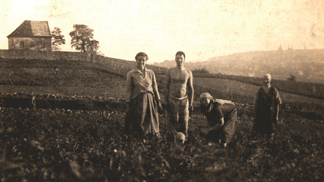 Dříve to v zahradě vypadalo jinak než dnes.