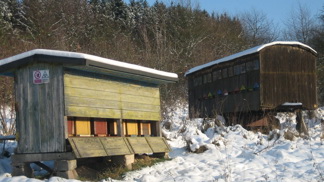 Včelí úly v zimě