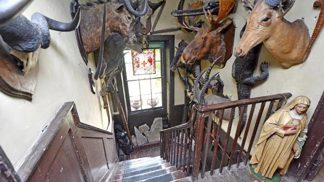 Schodiště domu po rekonstrukci. V noci bychom po něm jít nechtěli...