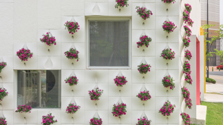 Můžete v ní vypěstovat okrasné květiny i bylinky.