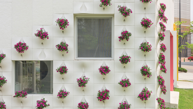 Můžete v ní vypěstovat okrasné květiny i bylinky.