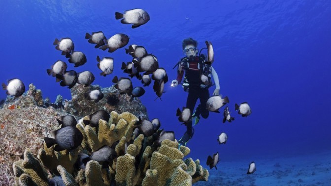 David Fleetham: „Vyfoťte to, co opravdu chcete.“