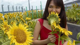 Na letištích může být mnohem větší zábava, než si myslíte.