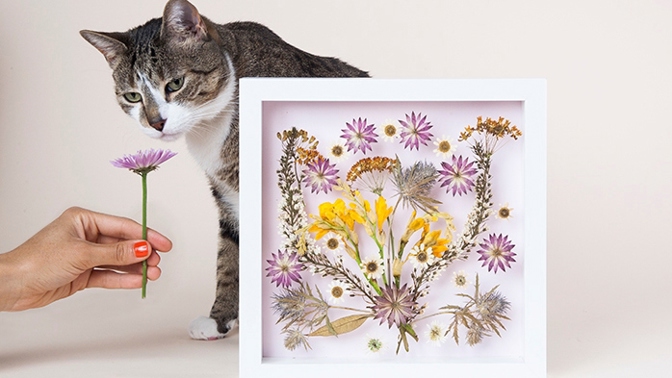 Lisování představuje nejjednodušší způsob, jak uchovat krásu květin.