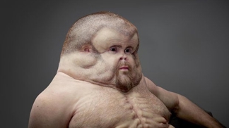 Graham má plochou tvář, díky čemuž neutrpí při nárazu uši a nos.