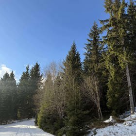 V Peci pod Sněžkou je krásná atmosféra. 