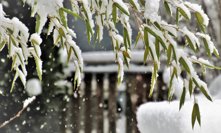 Česko zasype sníh: Meteorologové varují před mrazy, které jen tak neskončí