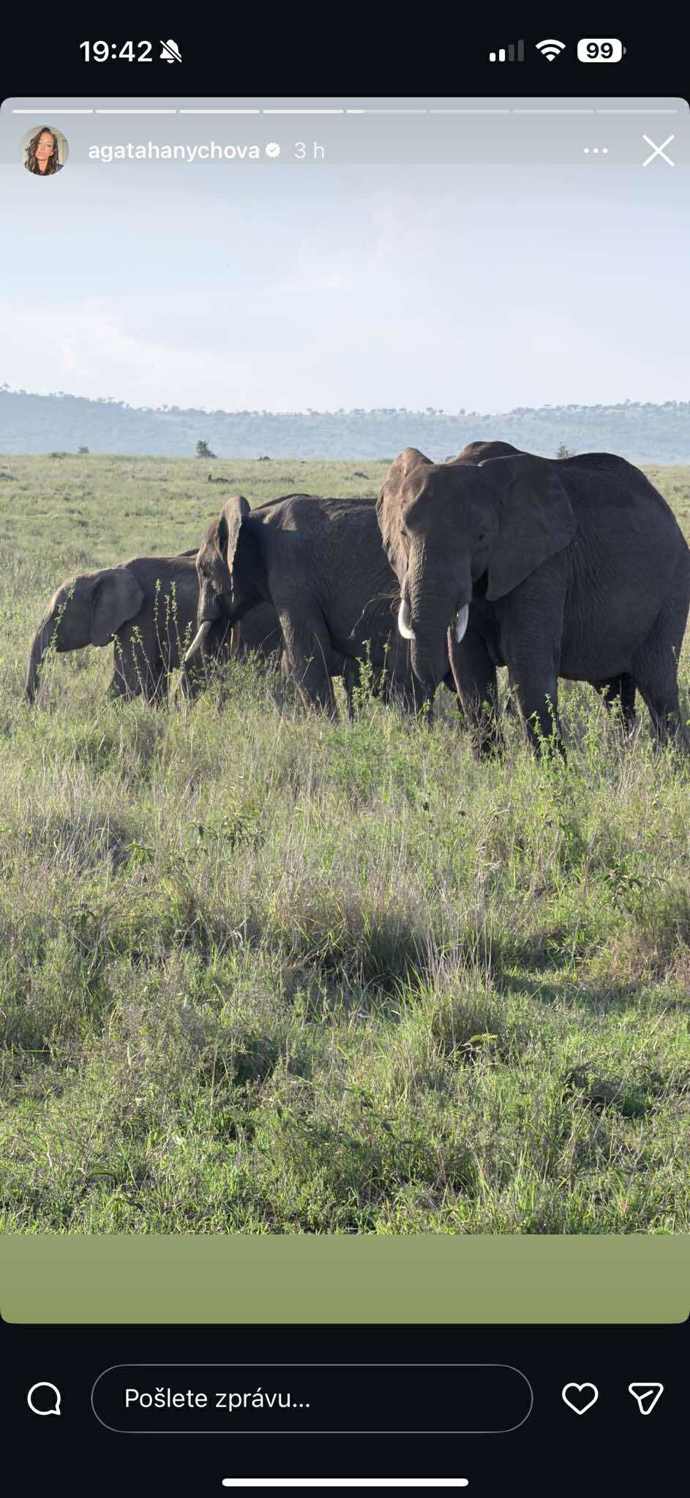Viděli exotická zvířata.