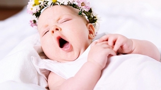 Čistý vzduch, voda a jídlo jsou stavebními kameny energie. A nejen ty.