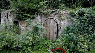 Dokonalá kamufláž. Najdete ženu na fotce?