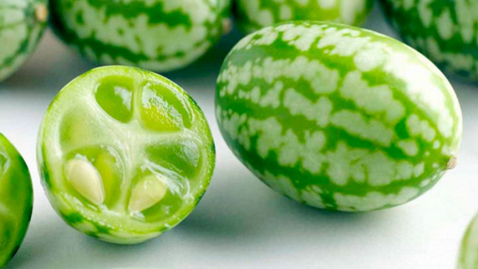 Tyto roztomilé minimelouny voní po citrusech.