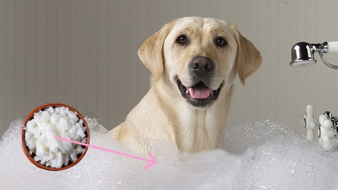 Kokosový olej jde na dračku. Není divu, když ho lze použít až 76krát jinak!