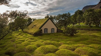 Domy se zelenými střechami krásně splývají s okolní přírodou.