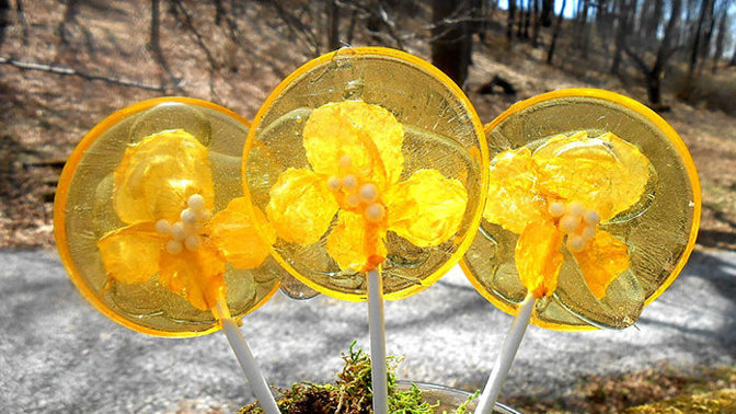 Tohle lízátko můžete sníst i s květinou!