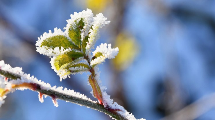 Týdenní horoskop: Ryby by měly pracovat na svém seberozvoji a Panny by měly pracovat na maximum