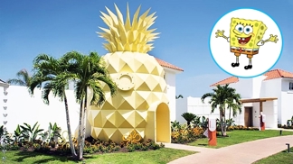 Kdo žije v ananasu na dně moří?