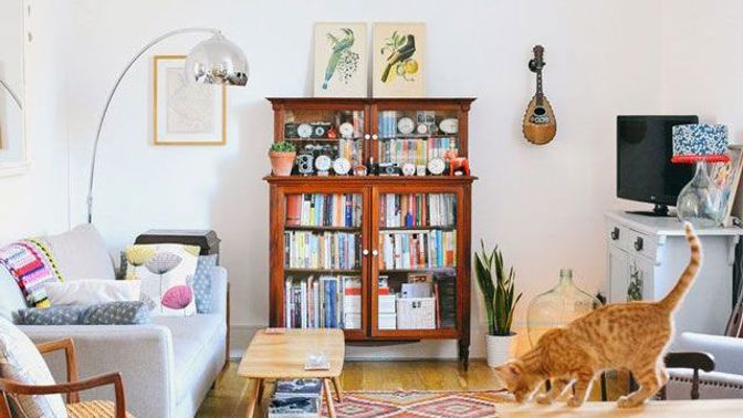 Cat Greenwood se živí jako komerční právnička, její stylový byt však odkazuje na kreativní roli blogerky.