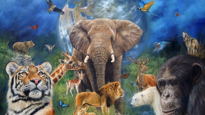 Na této planetě žije mnoho fascinujících tvorů. Poznejte je!