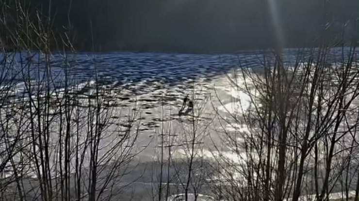 Led na přehradě Labská dosahuje tloušťky do 8 cm a to pouze při březích.