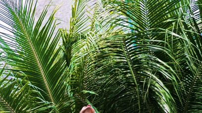 FOTO: Mia na Maledivách.