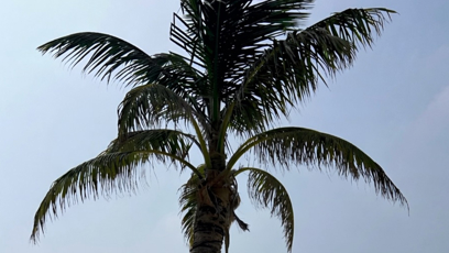 FOTO: Mia si užívá zasloužený odpočinek.