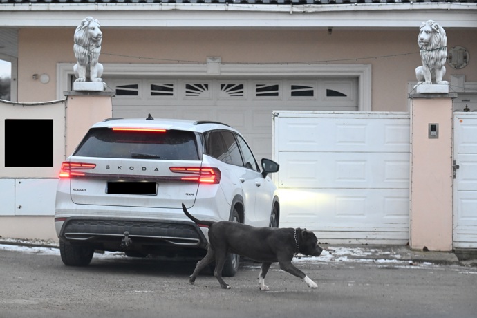 Ke Karlosovi Vémolovi jezdí kamarád hlídat zvířata.