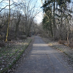 Tehdy kolem deváté hodiny večerní napadl třiadvacetiletou Alici, matku dvou dětí, která byla na cestě za svým přítelem.