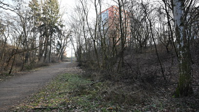FOTO: Po stopách Jiřího Straky. K prvnímu napadení došlo v malém lesíku u sídliště Novodvorská v Praze 4.