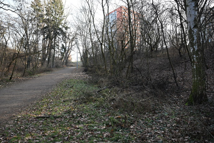 Po stopách Jiřího Straky. K prvnímu napadení došlo v malém lesíku u sídliště Novodvorská v Praze 4.