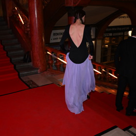 Sarah Haváčová vynesla odvážné šaty.